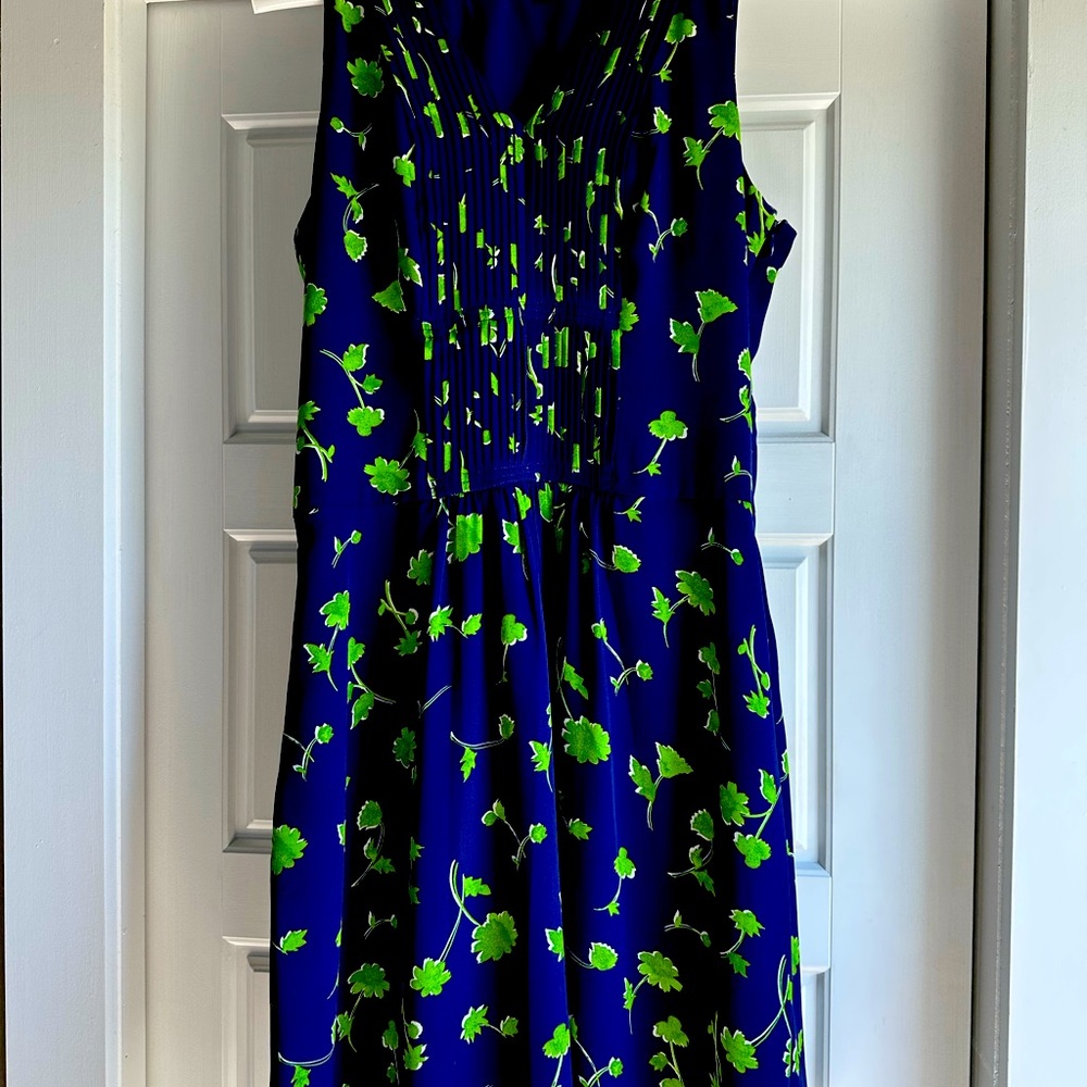 Banana Republic navy/green floral dress